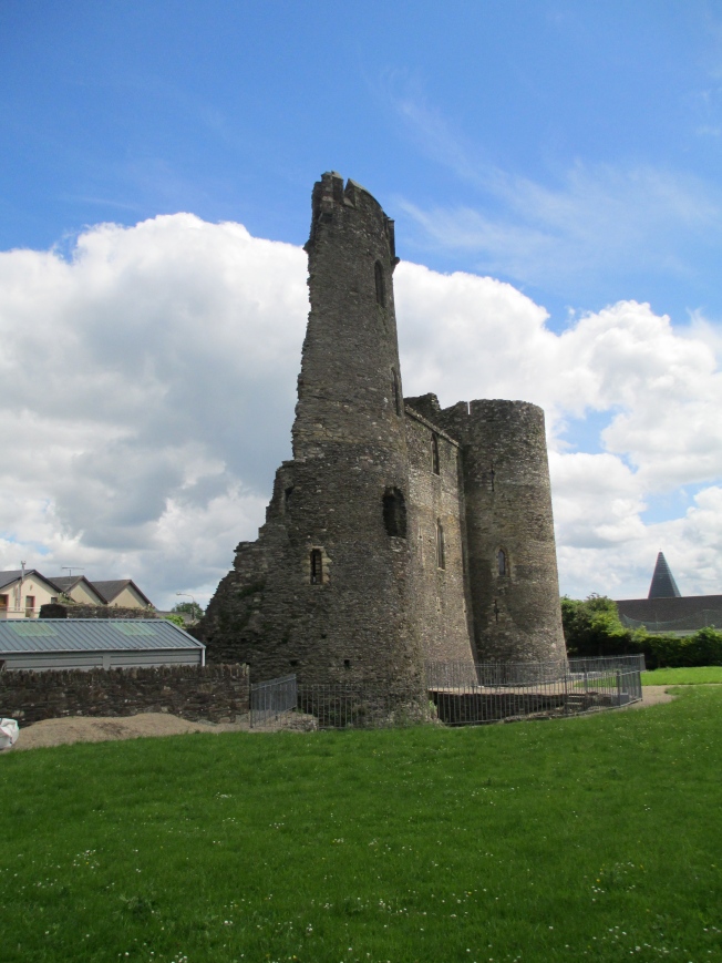 ferns castle irland