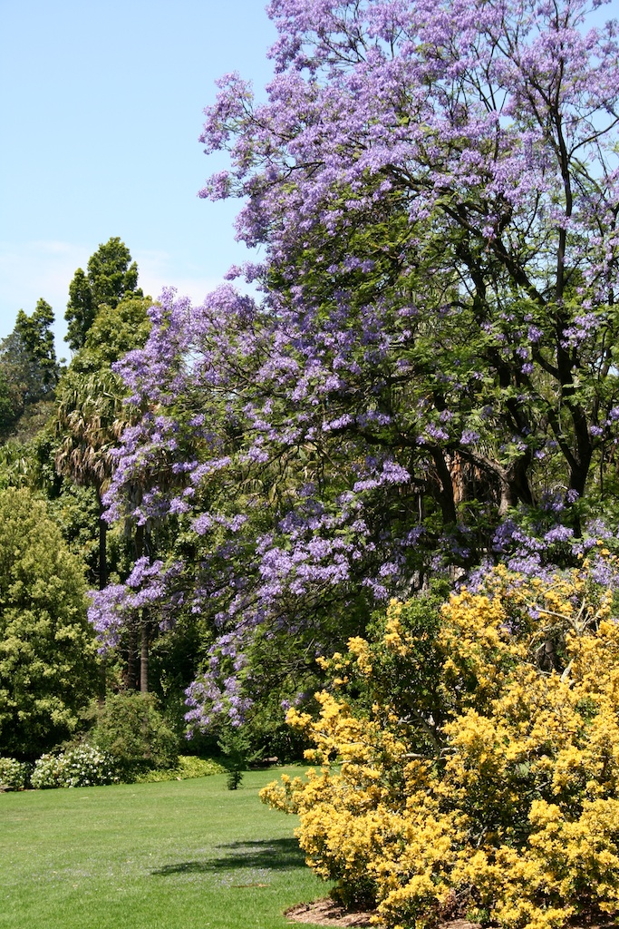Botanic Gardens Melbourne